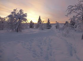 L1010354 midvinter 1