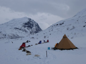 Dogsledding in Sarek 4