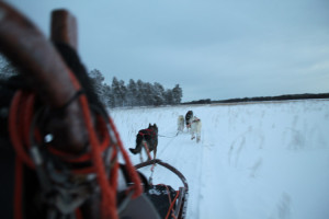 early winter training 1